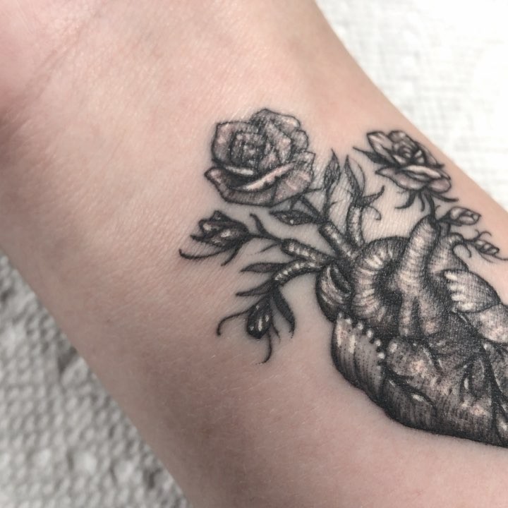 Flower, Rose