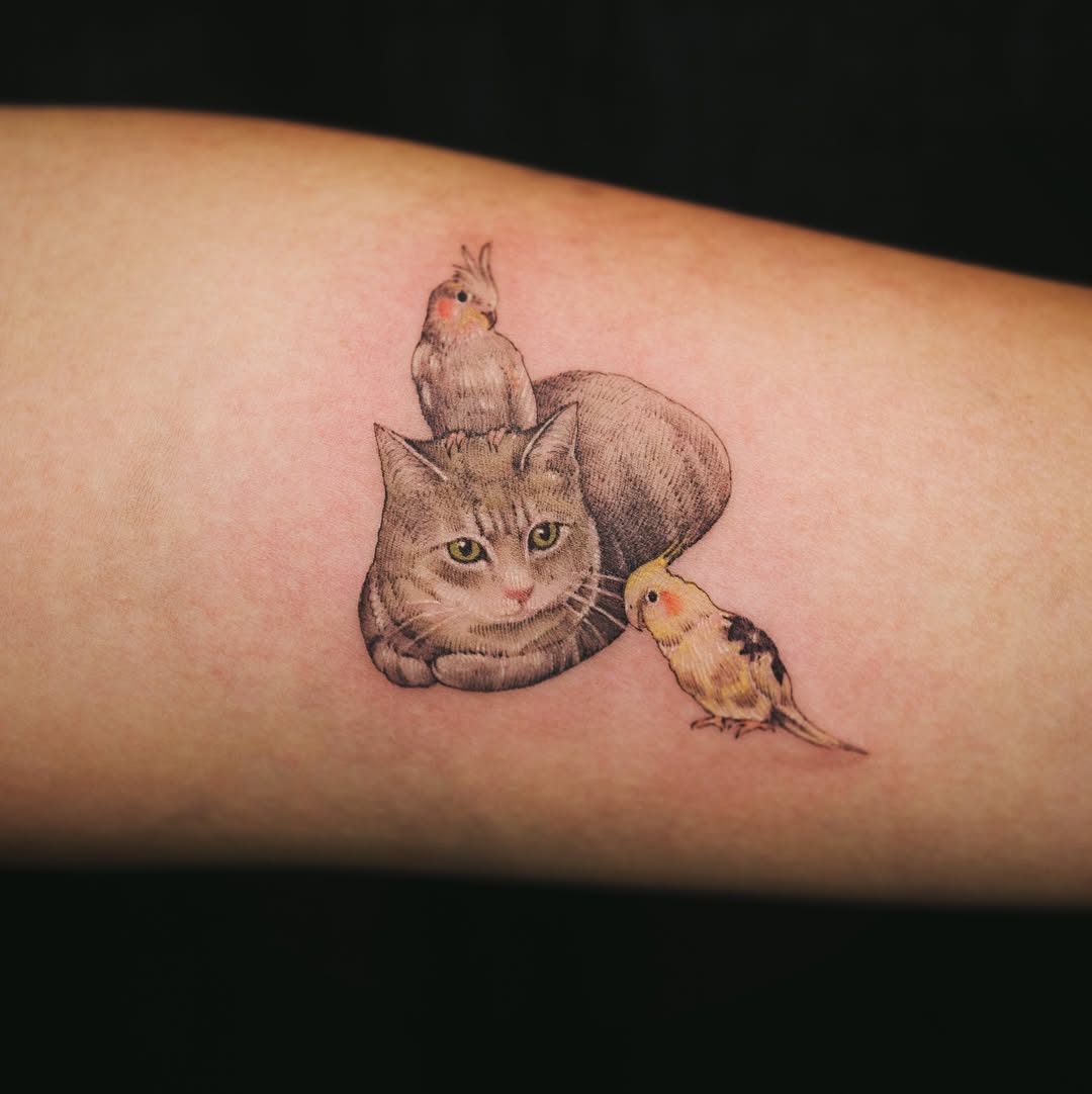 soltattoo