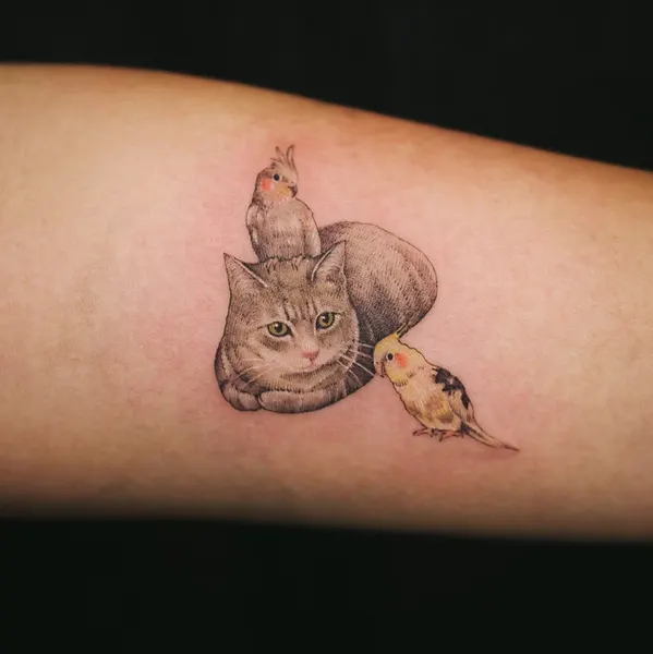 soltattoo