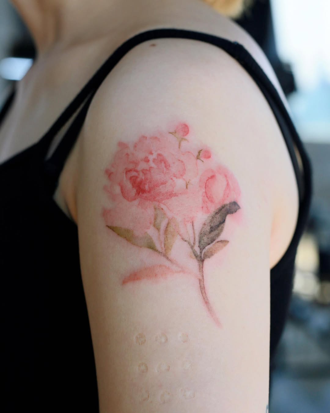 Flower, Rose, Nature