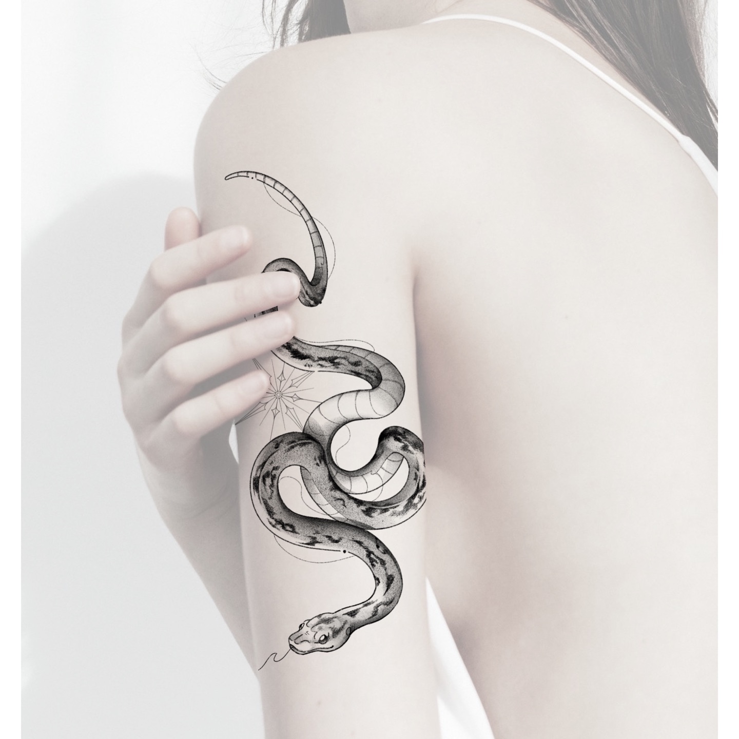 Snake, Dragon