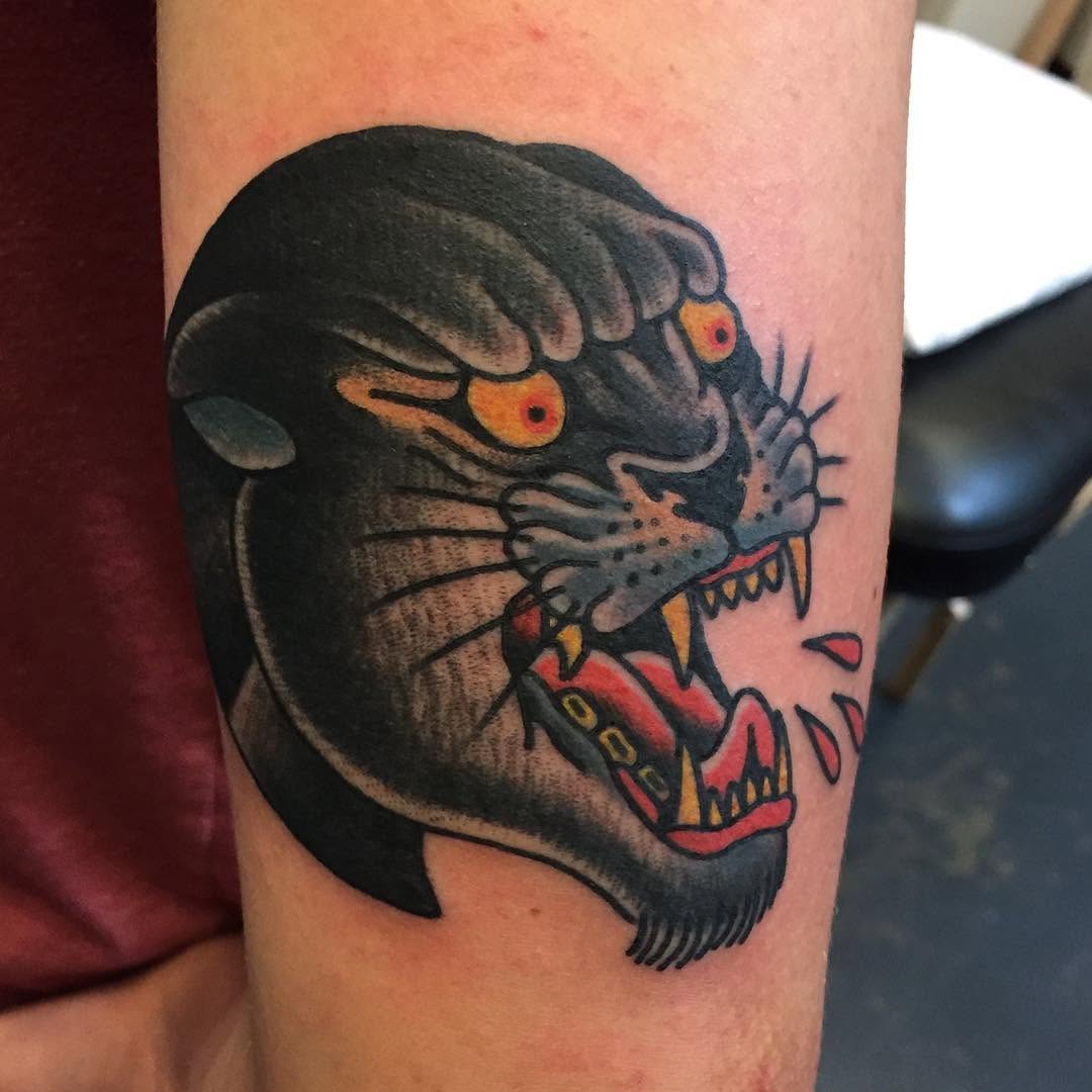 Tiger, Animal
