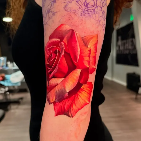 Flower, Rose