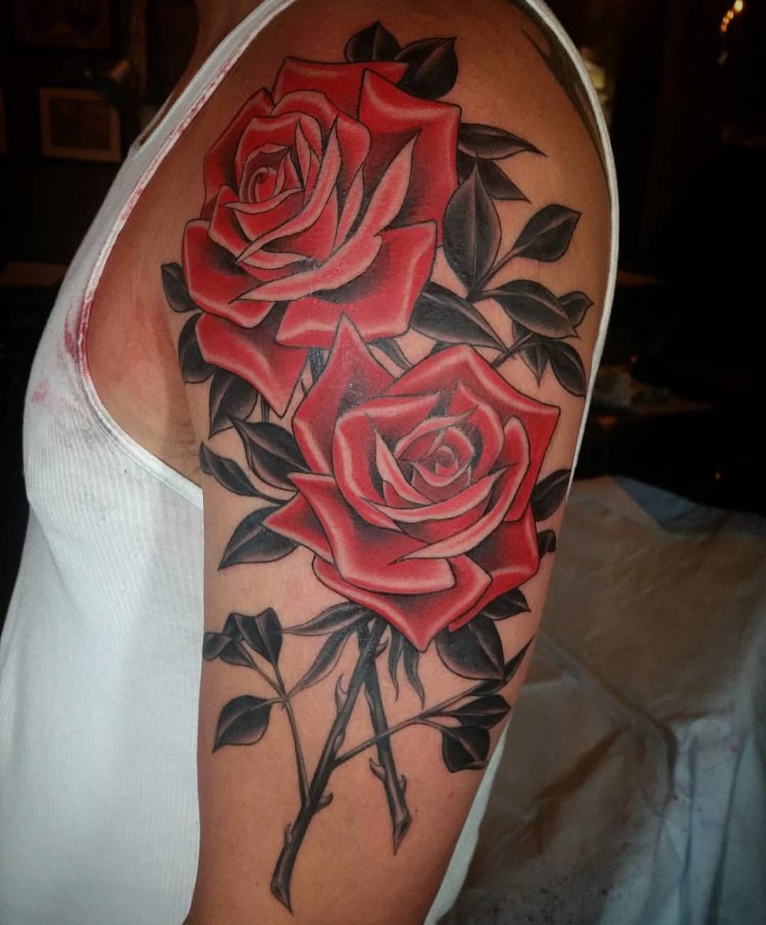 Flower, Rose, Nature