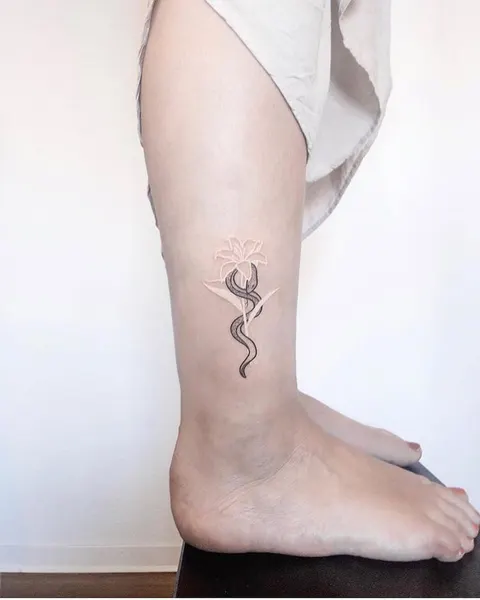 equilattera