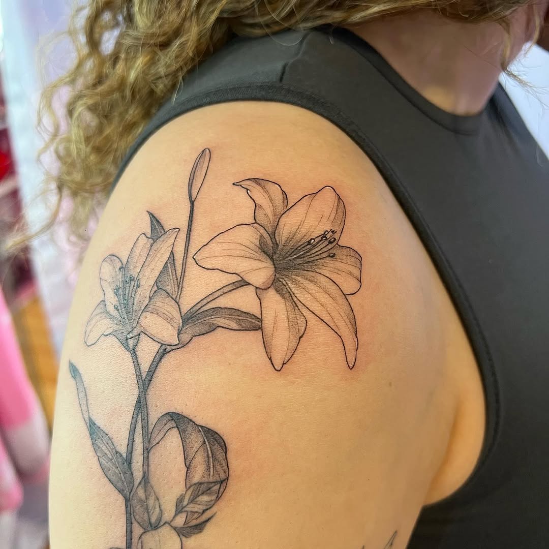 백합, Flower