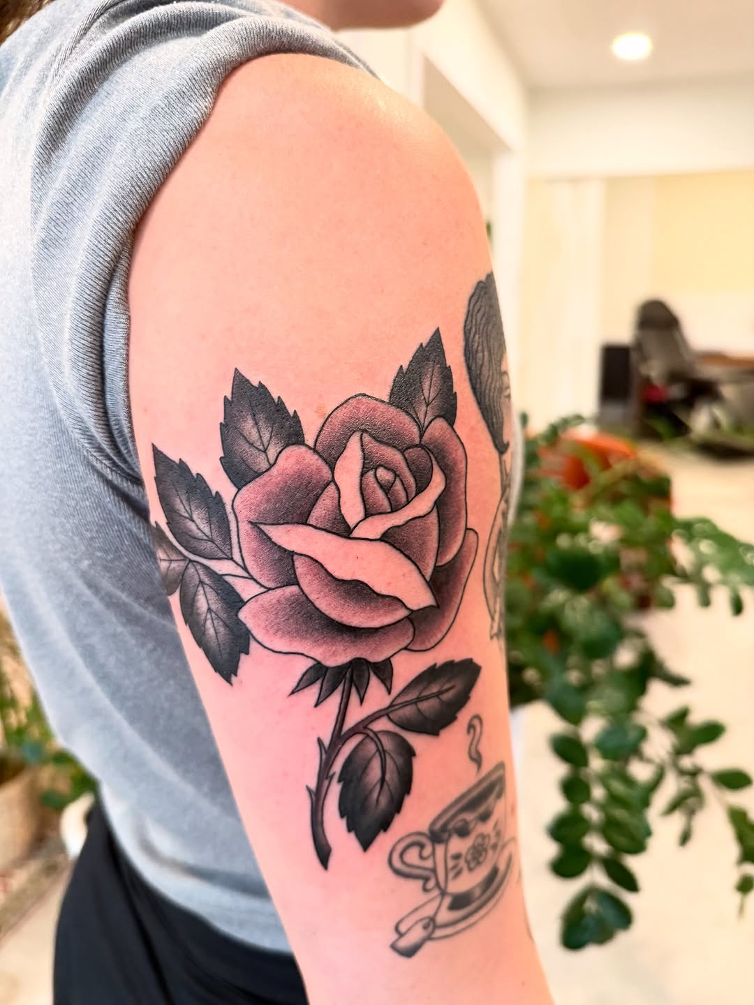 Flower, Rose, Nature