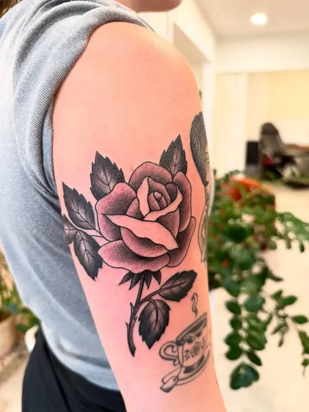 Flower, Rose, Nature