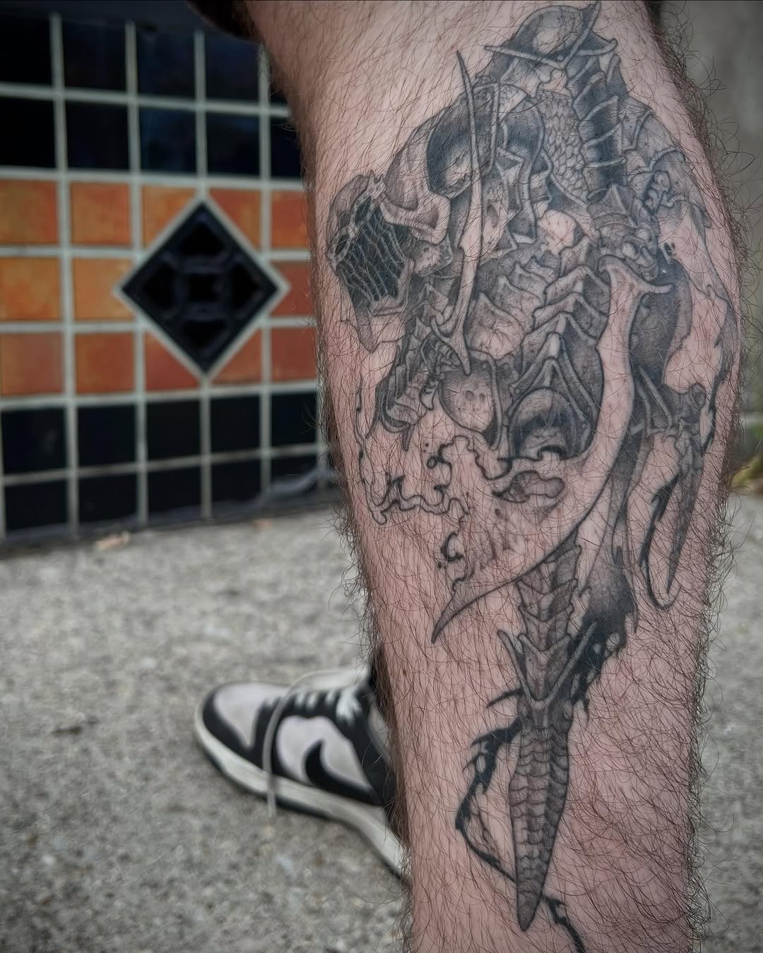 Dragon