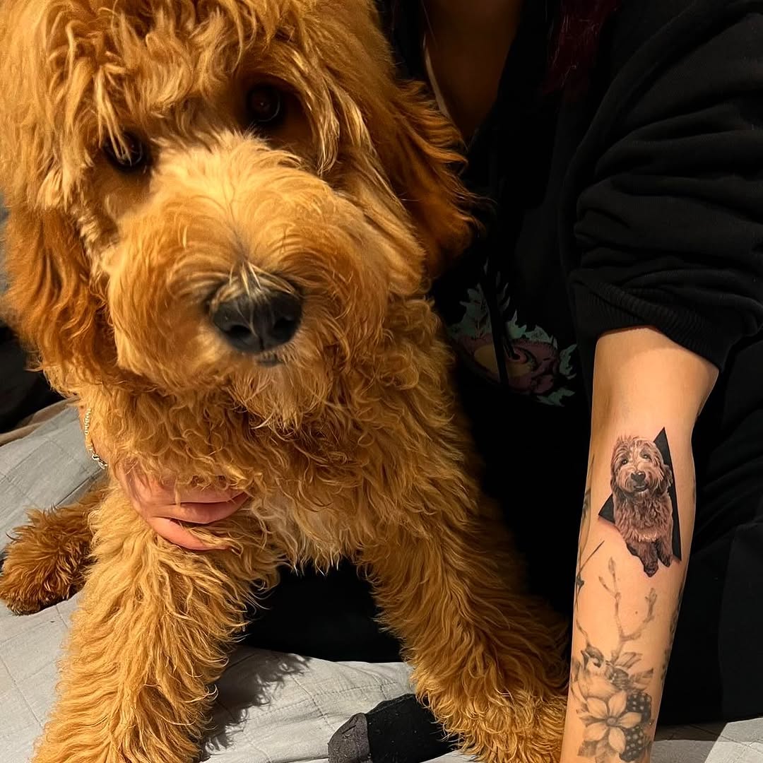 Animal
