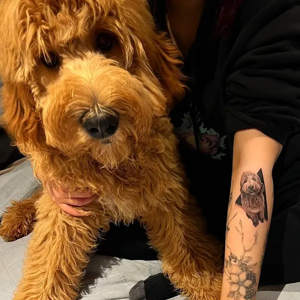 Animal