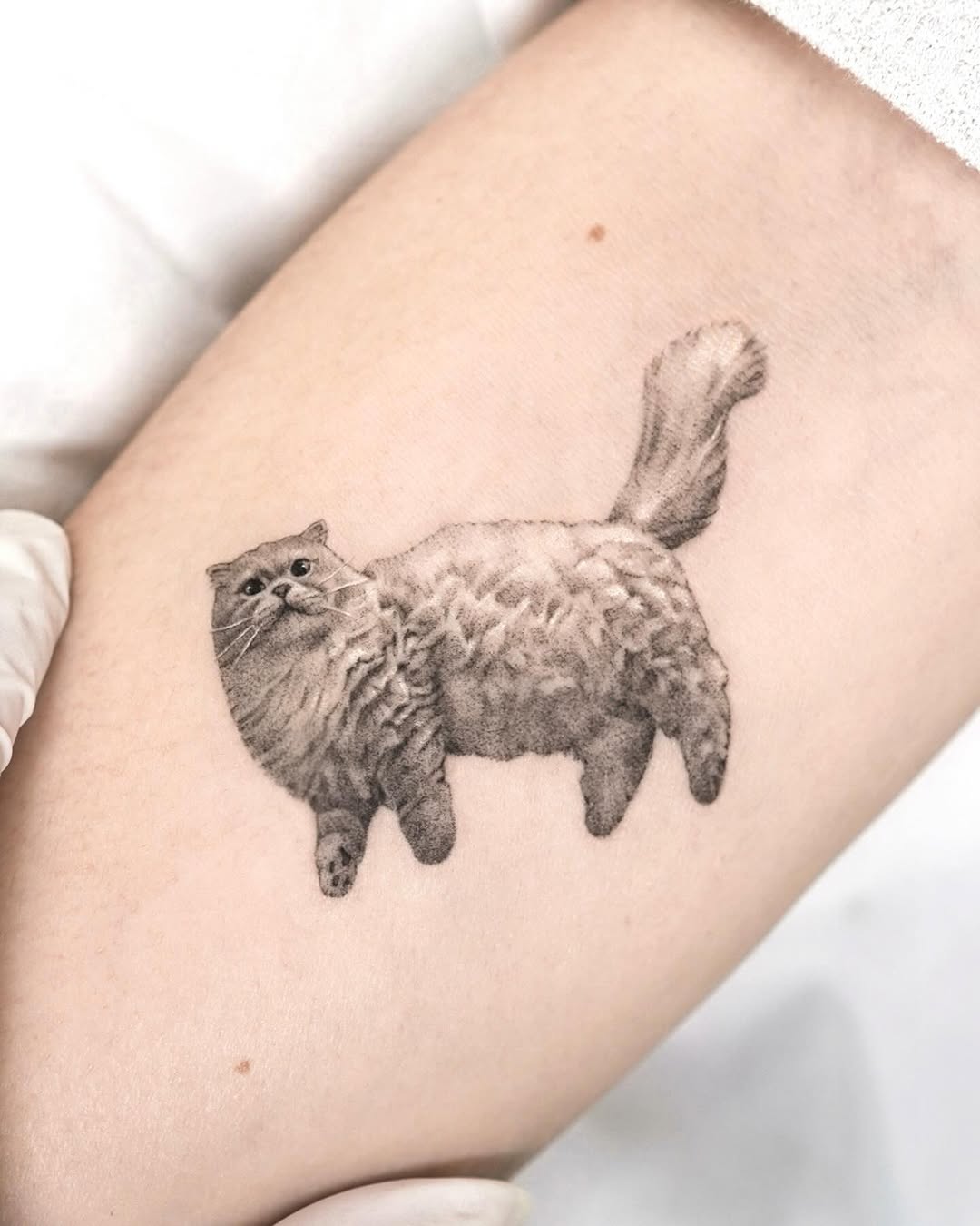 dorok.tattoo