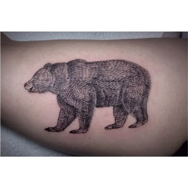 Animal