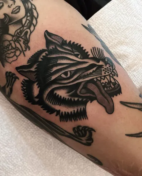 Animal, Tiger