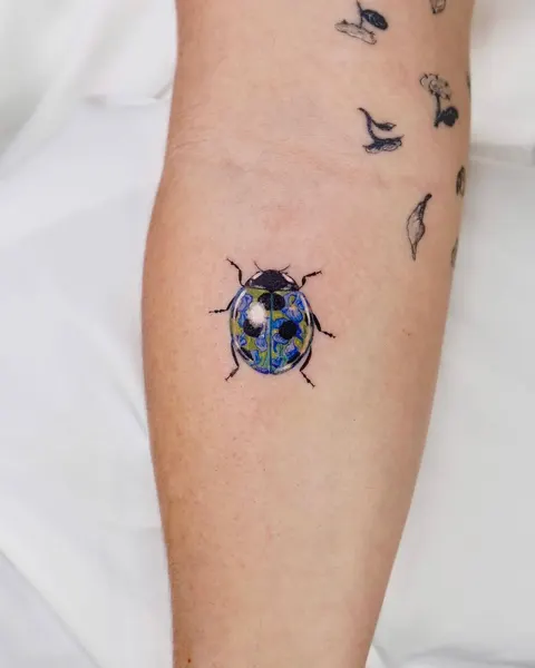 Animal, Nature, 잠자리, 매미