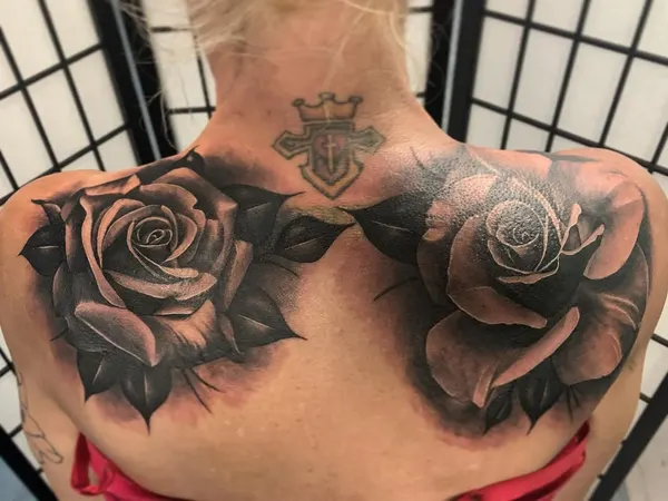 Flower, Rose, Nature