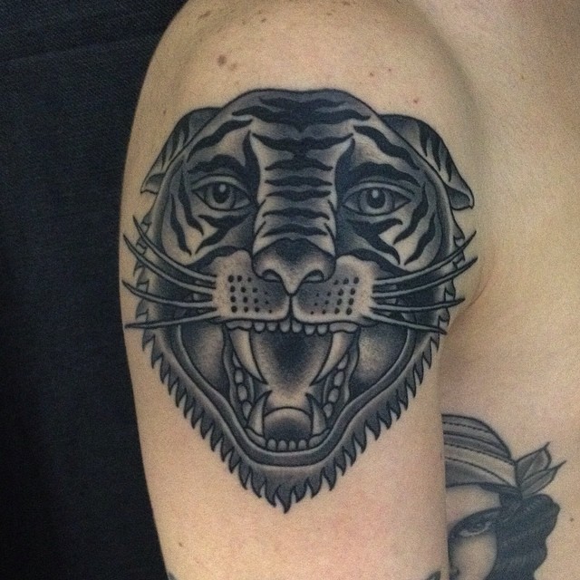 Tiger, Animal