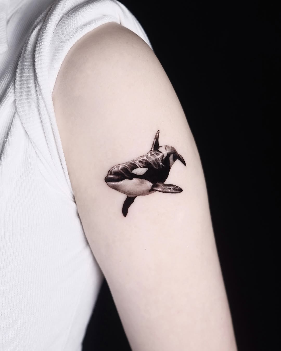 40.tatt