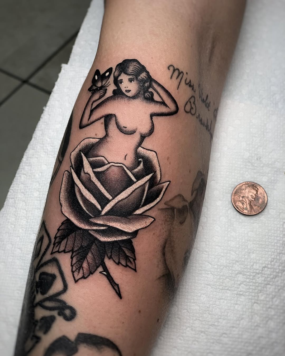 Rose, Nature, Flower