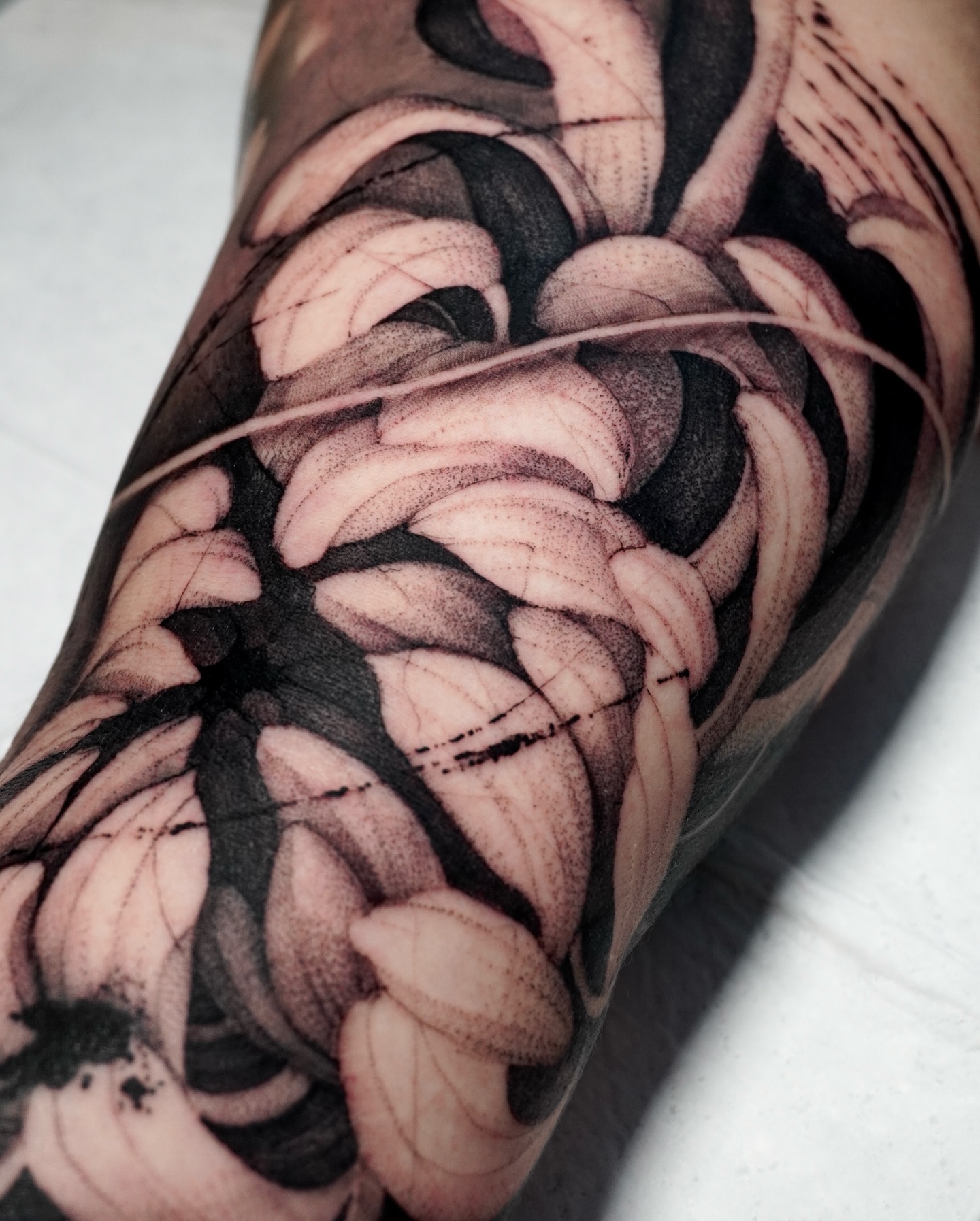 stefano_tavaglione