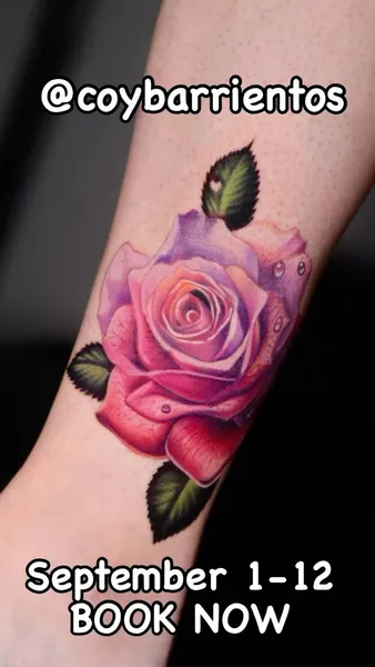 Flower, Rose