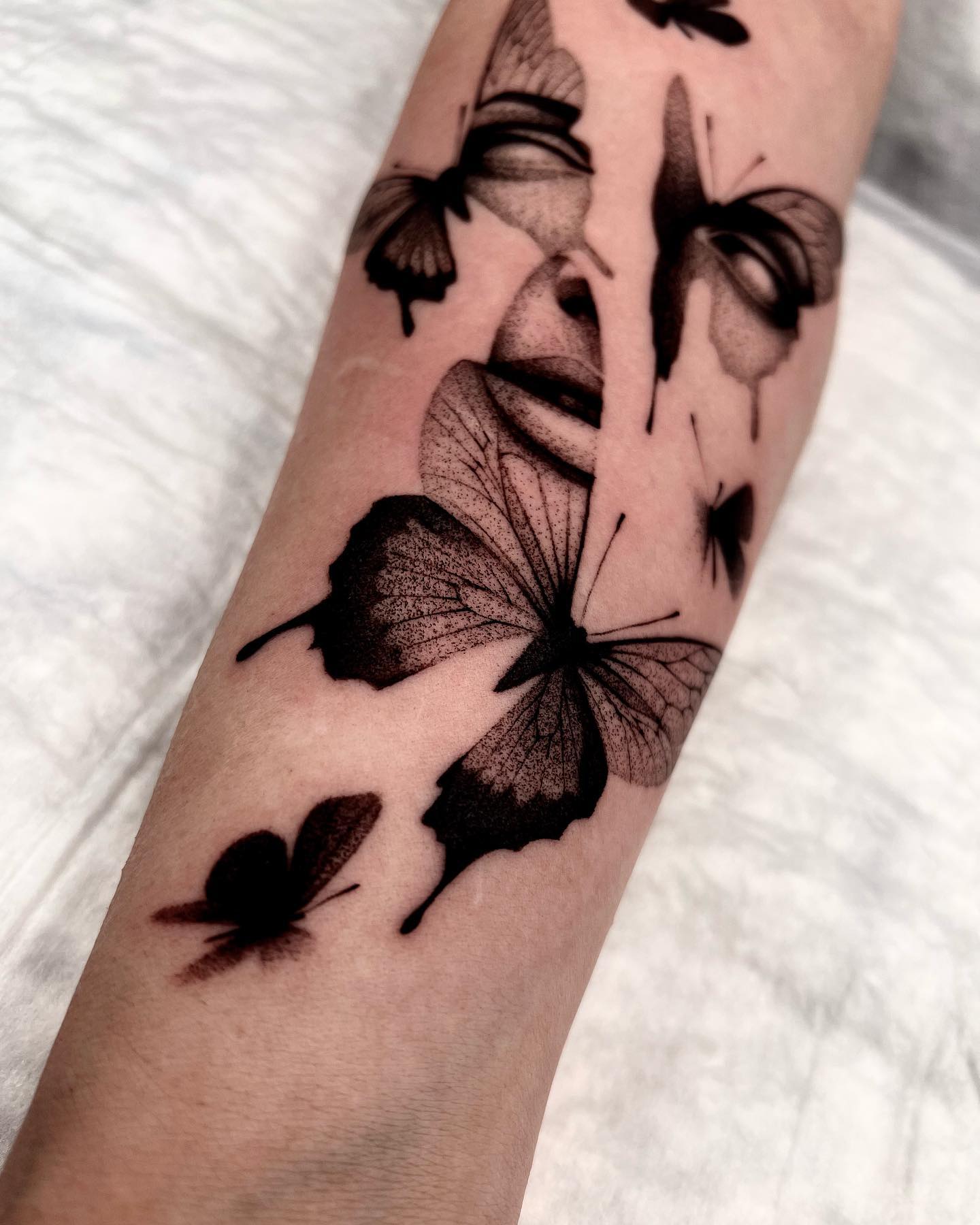 Animal, Nature