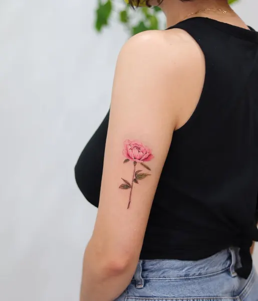 Flower, Rose