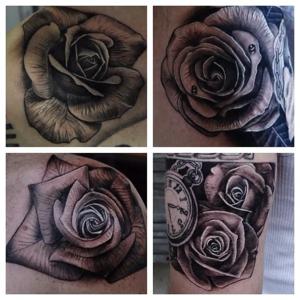 Flower, Rose