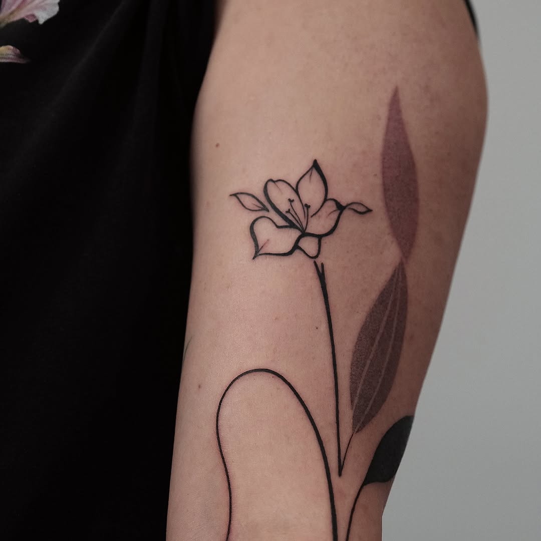 Flower, Rose