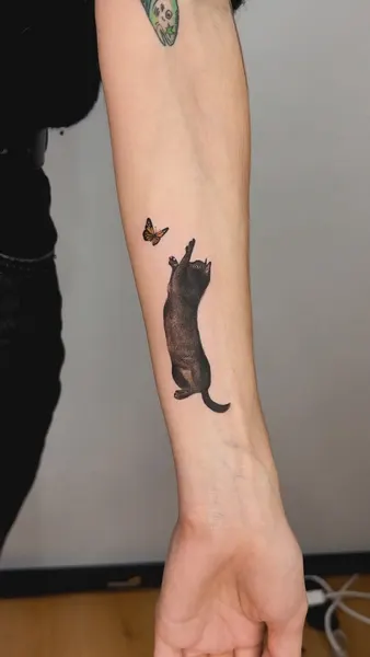 Animal, 너구리, 다람쥐