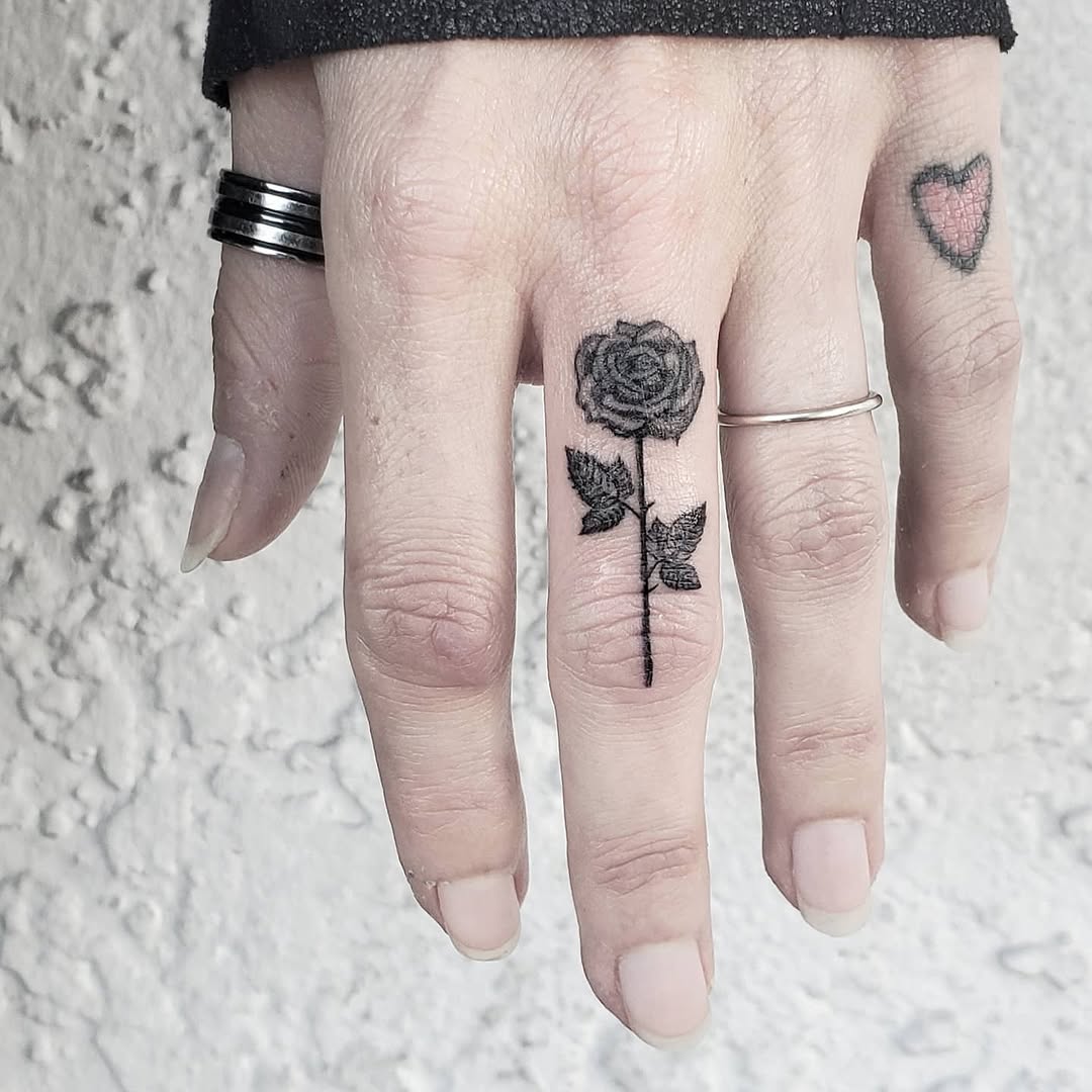 Flower, Rose