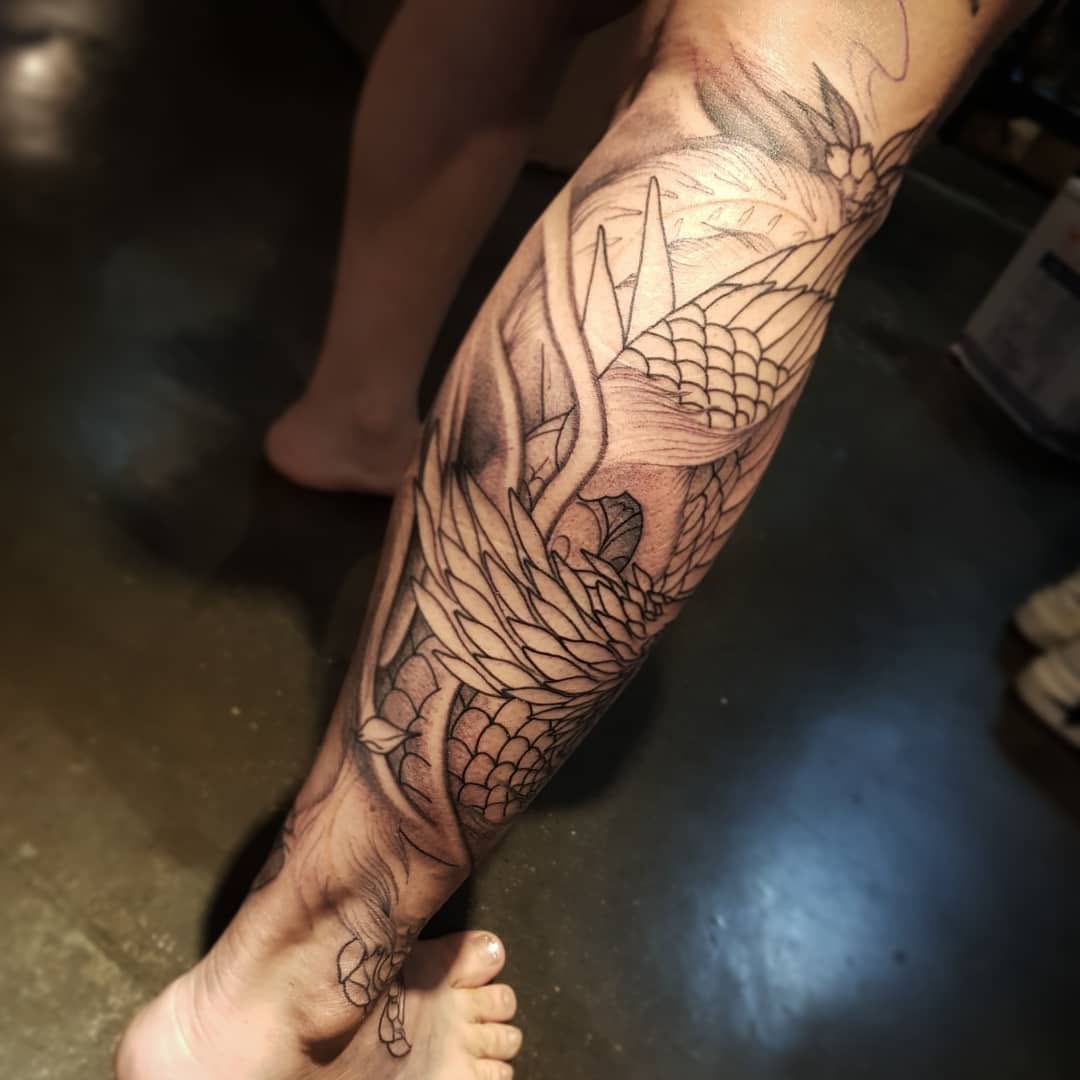 Dragon, Animal