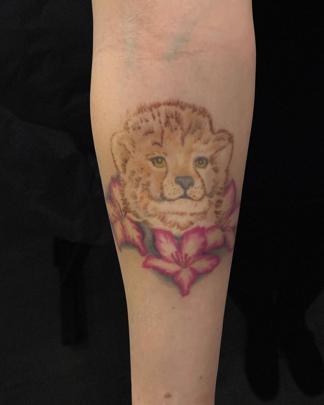 Animal, Tiger
