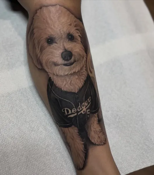 Animal