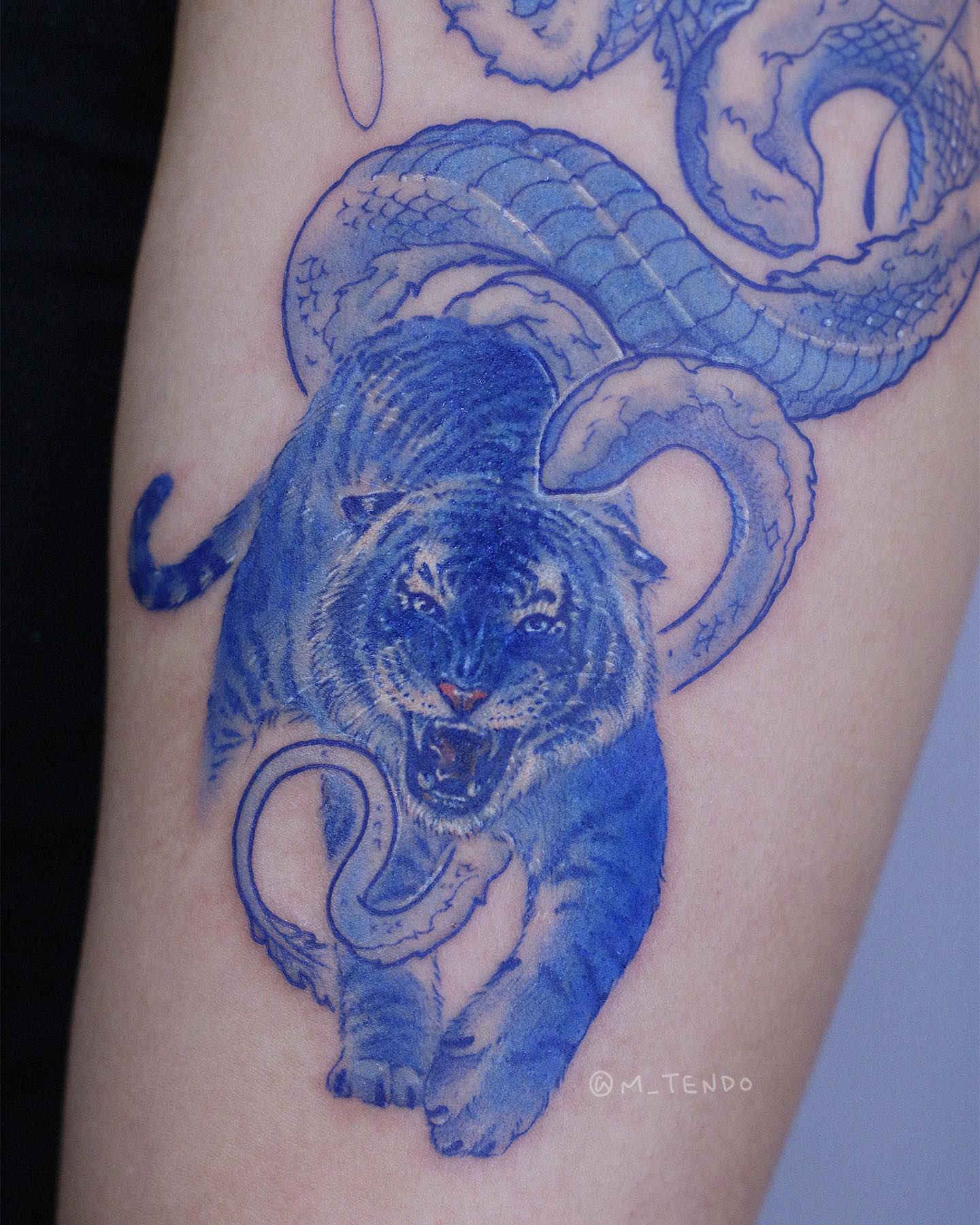 Tiger, Dragon