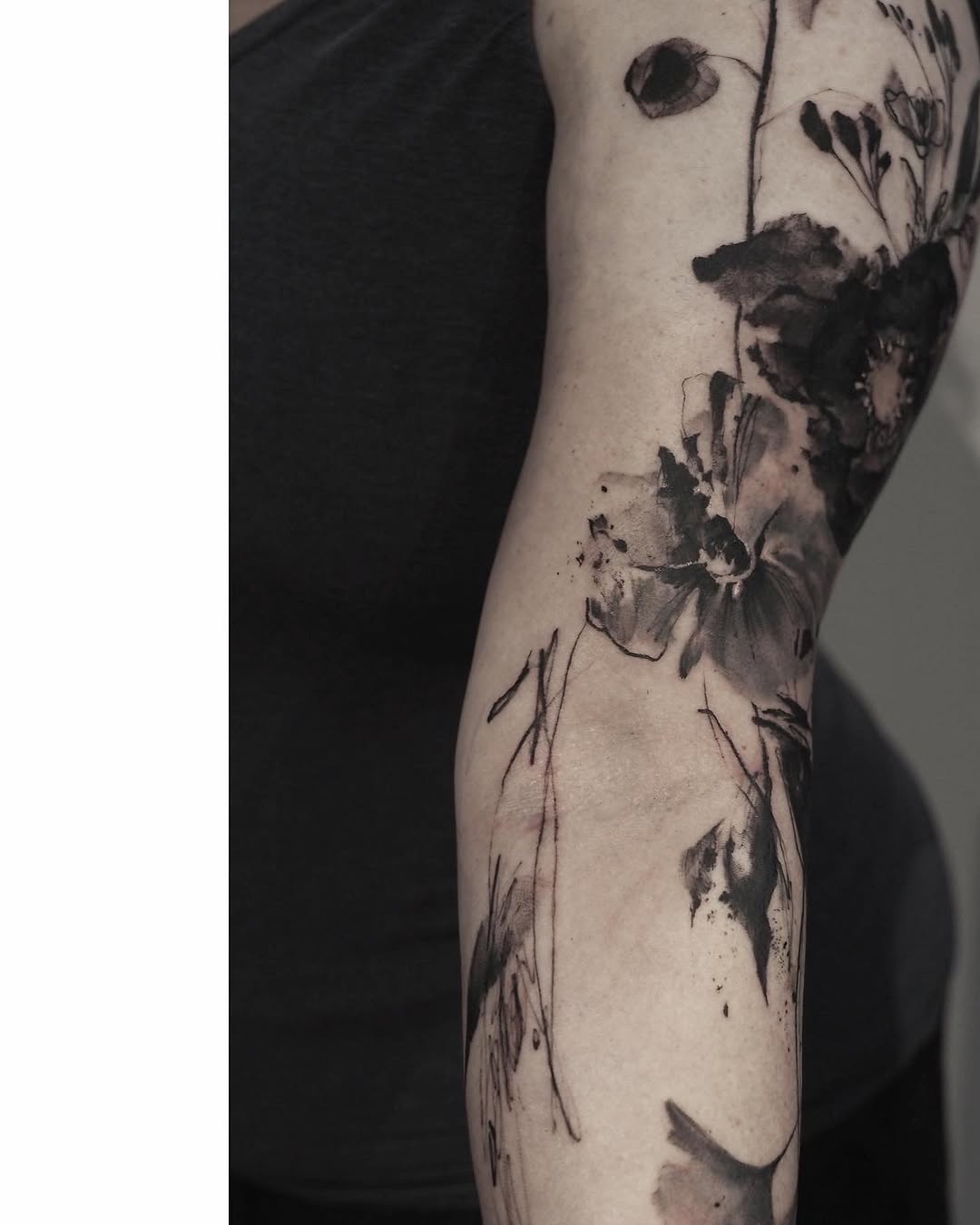 Flower, Rose, Nature