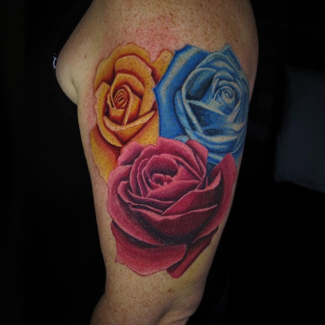 Flower, Rose, Nature