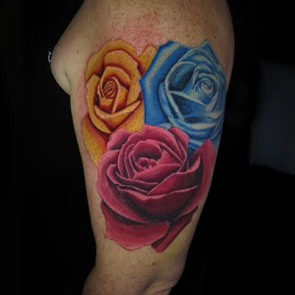 Flower, Rose, Nature