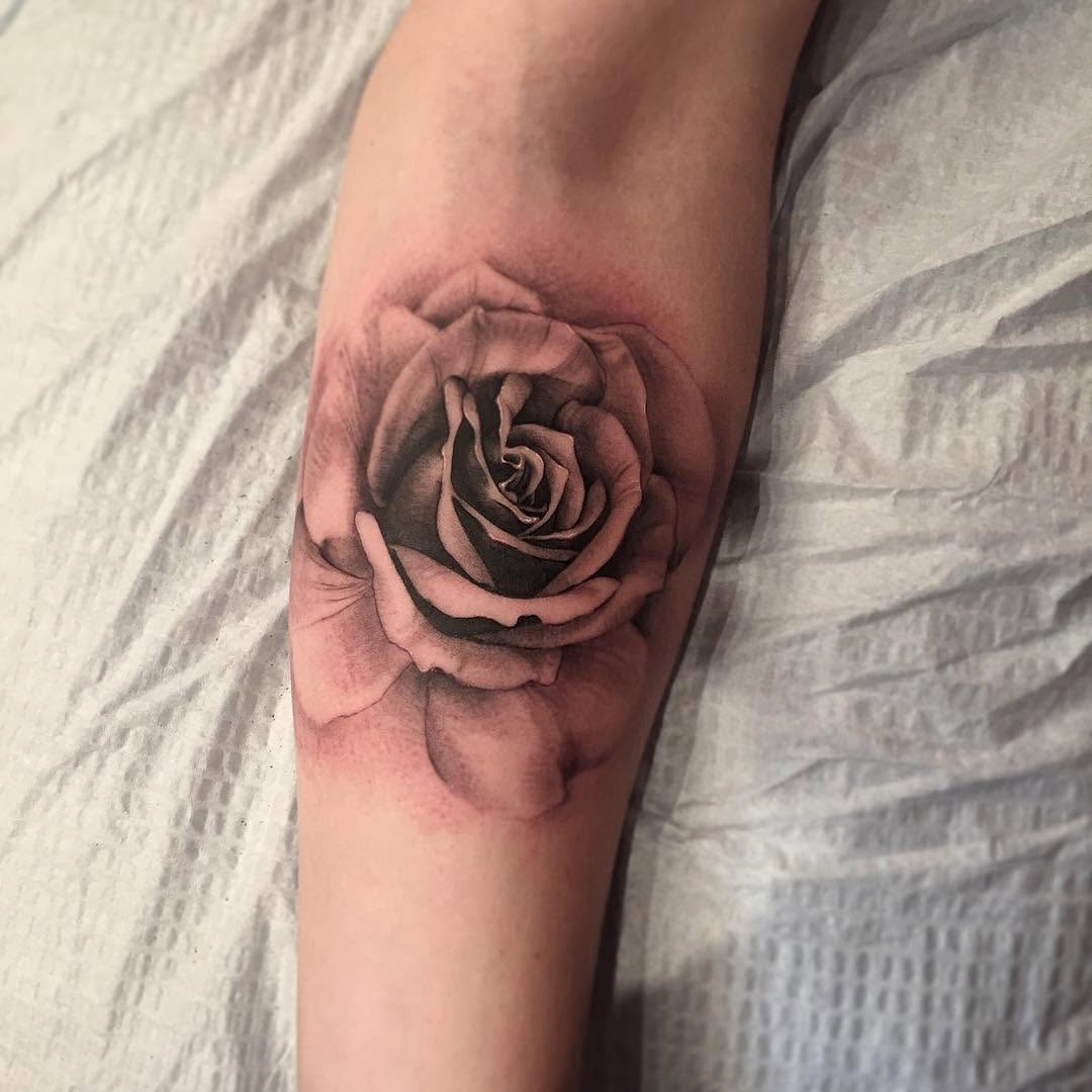Rose, Flower