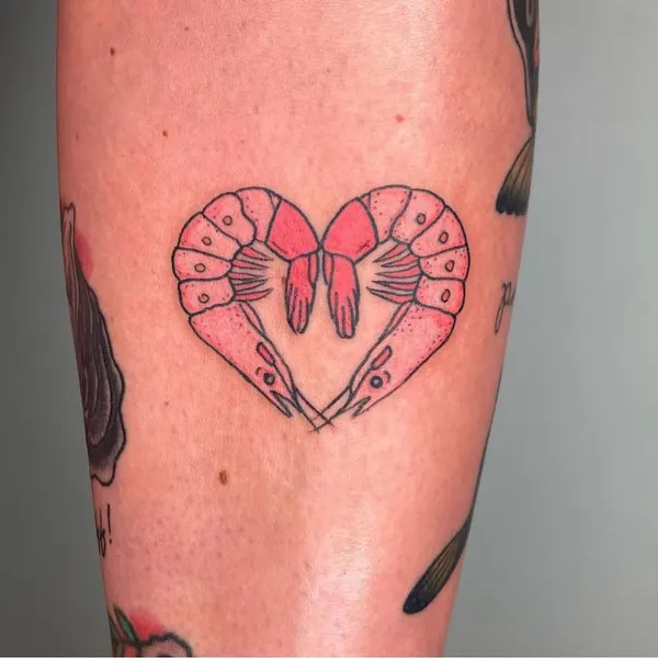 equilattera