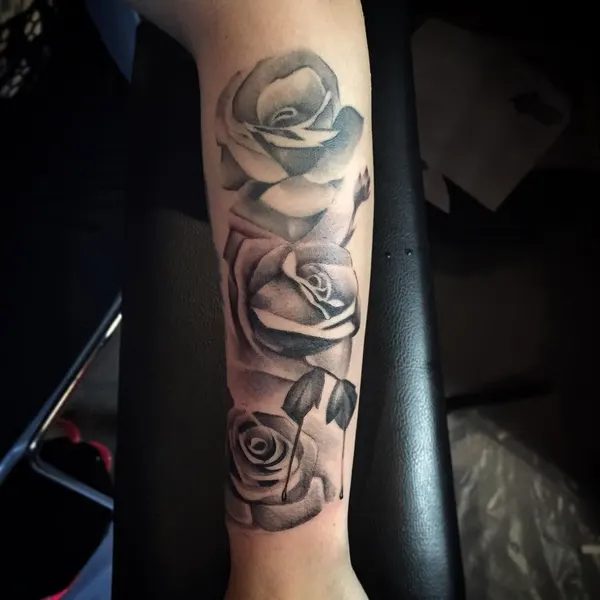 Flower, Rose