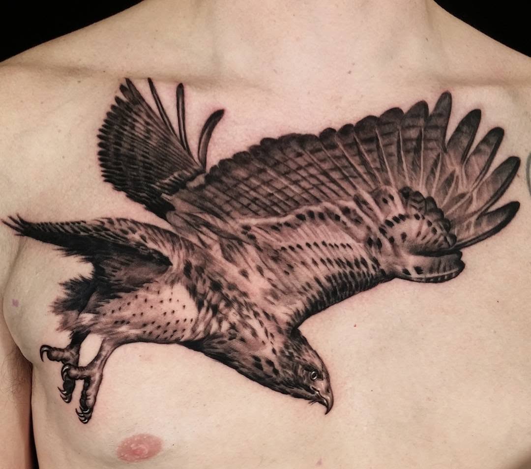 Animal