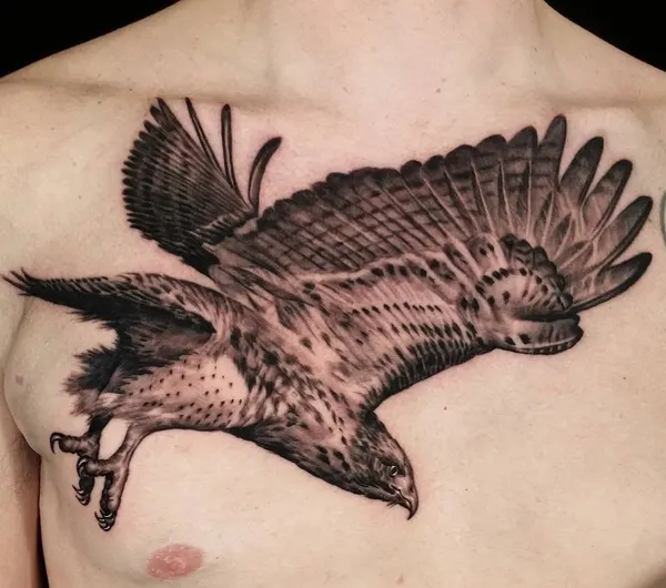 Animal
