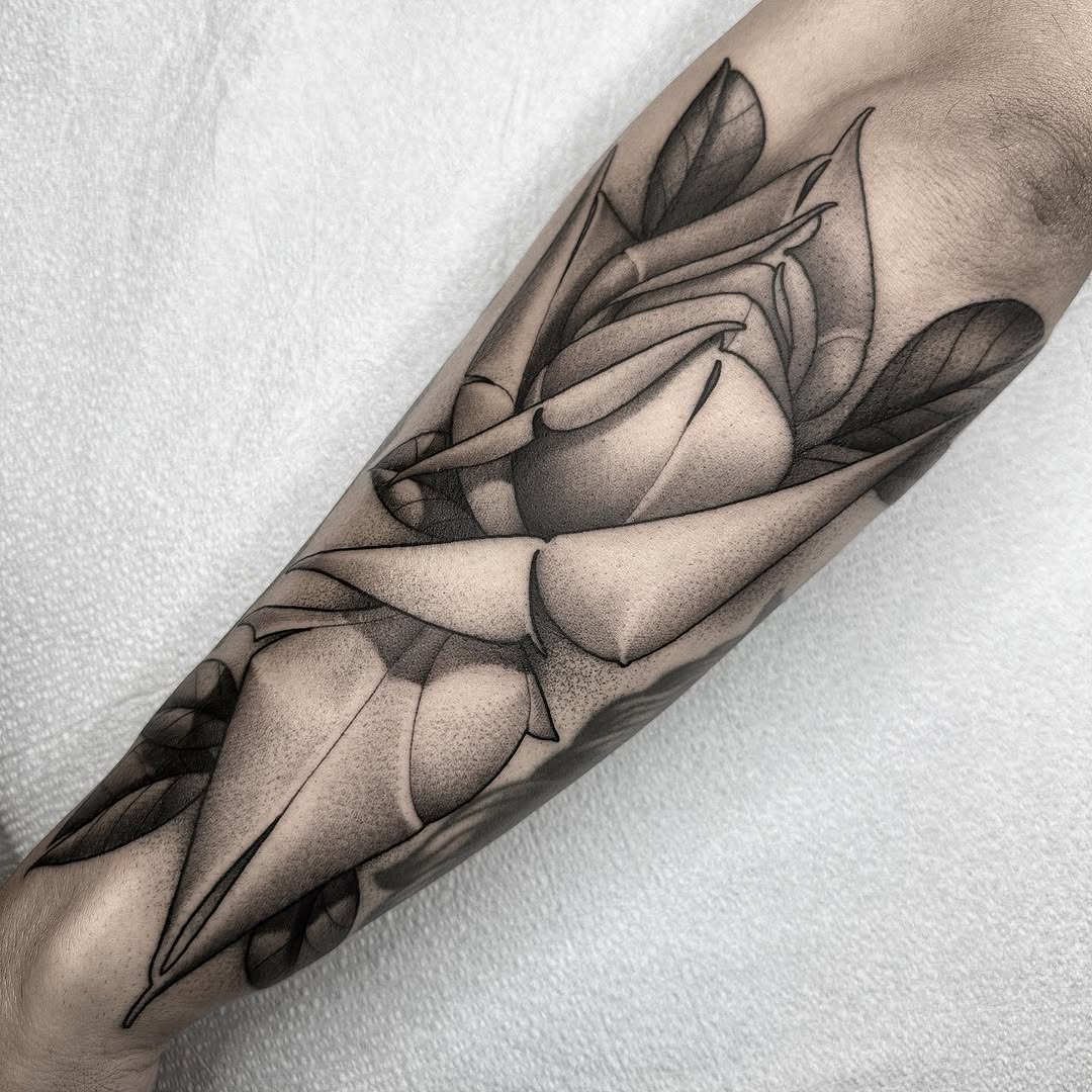 Flower, Rose