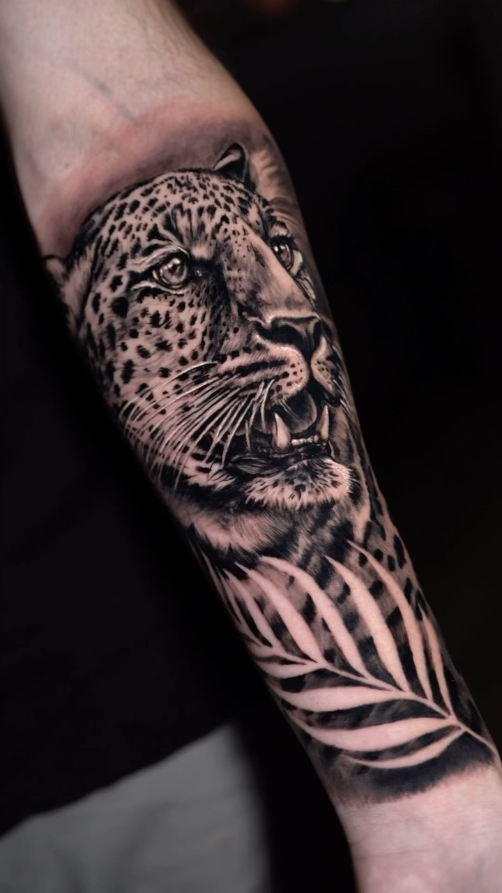 Animal
