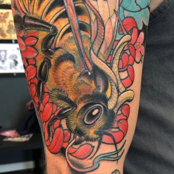Animal