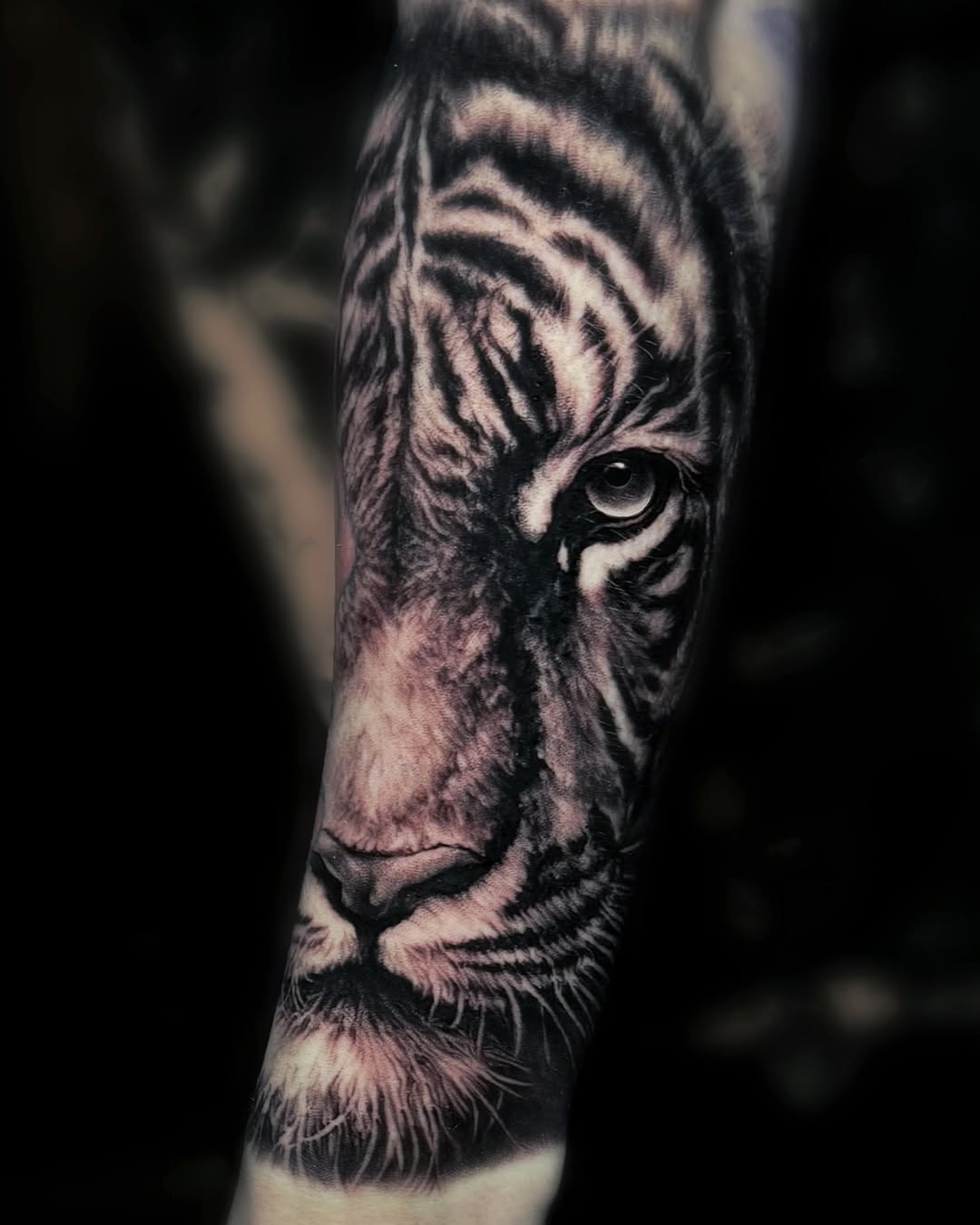 Tiger