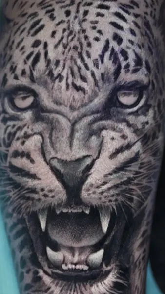 Animal