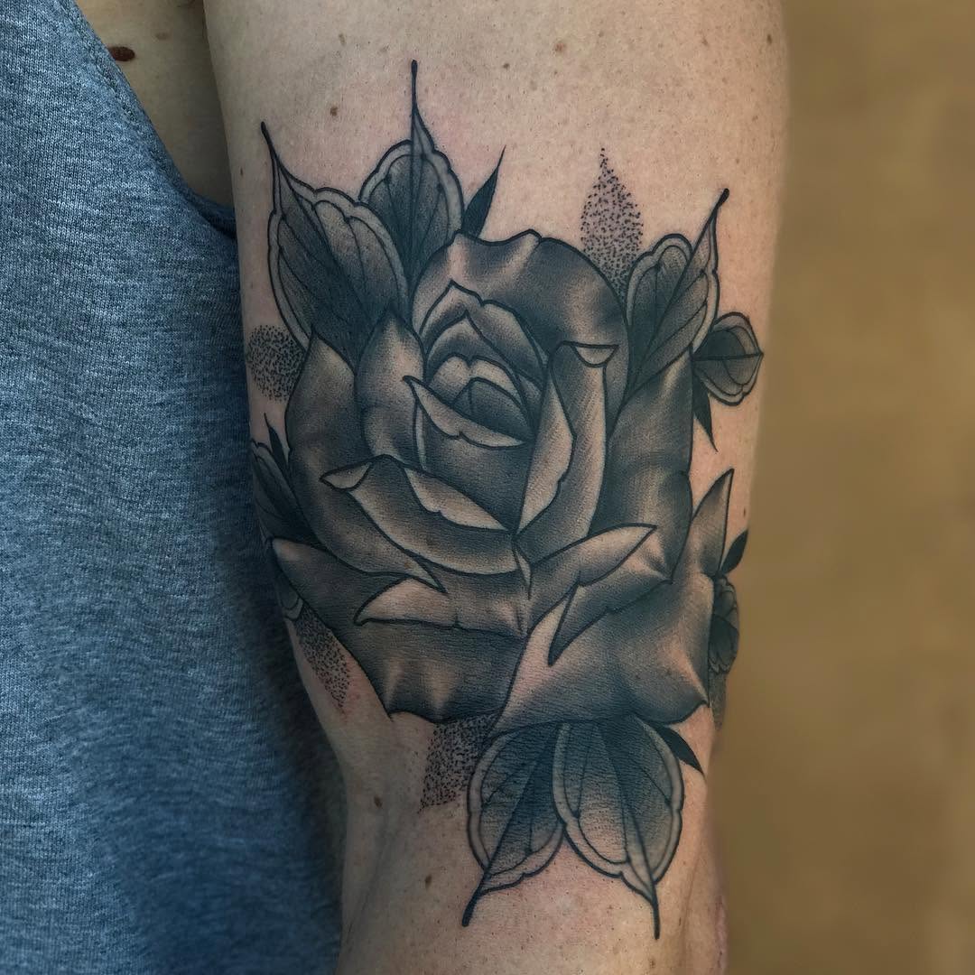 Flower, Rose, Nature