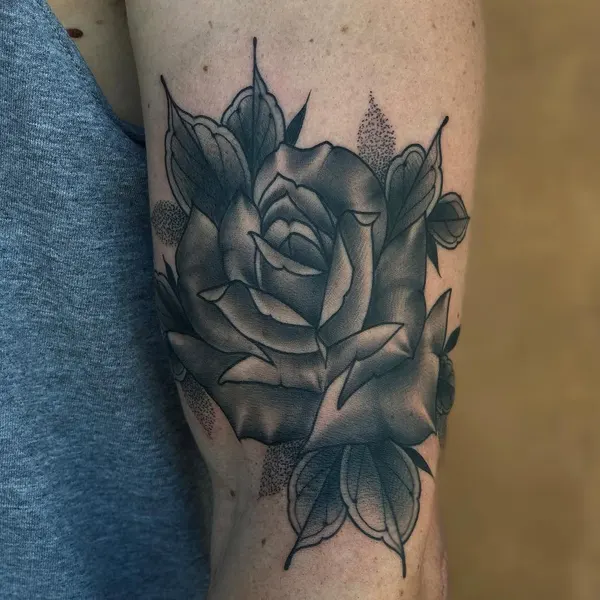 Flower, Rose, Nature
